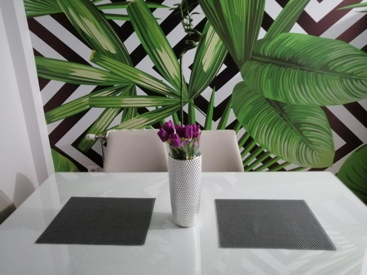 Butterfly Apartment Cacak Ngoại thất bức ảnh