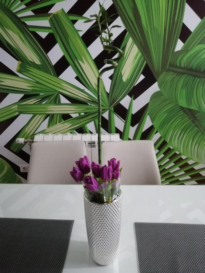 Butterfly Apartment Cacak Ngoại thất bức ảnh